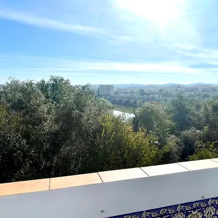 El Balcon Del Puente Con Parking Gratis アパート コルドバ